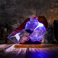 Fire Breathing To.oth.less and Light Fu.ry Lamp
