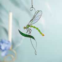 Flydragon insect stained glass window hangings