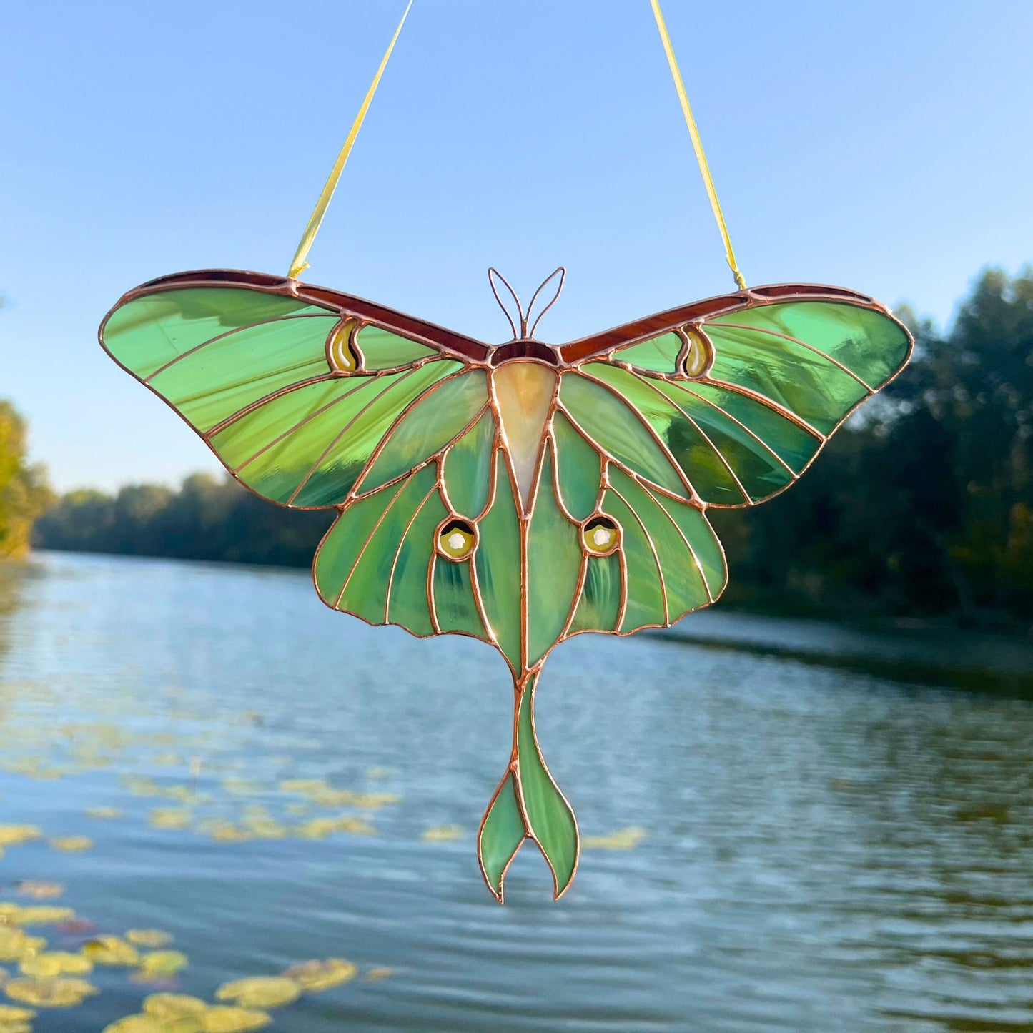 Luna moth stained resin window hangings