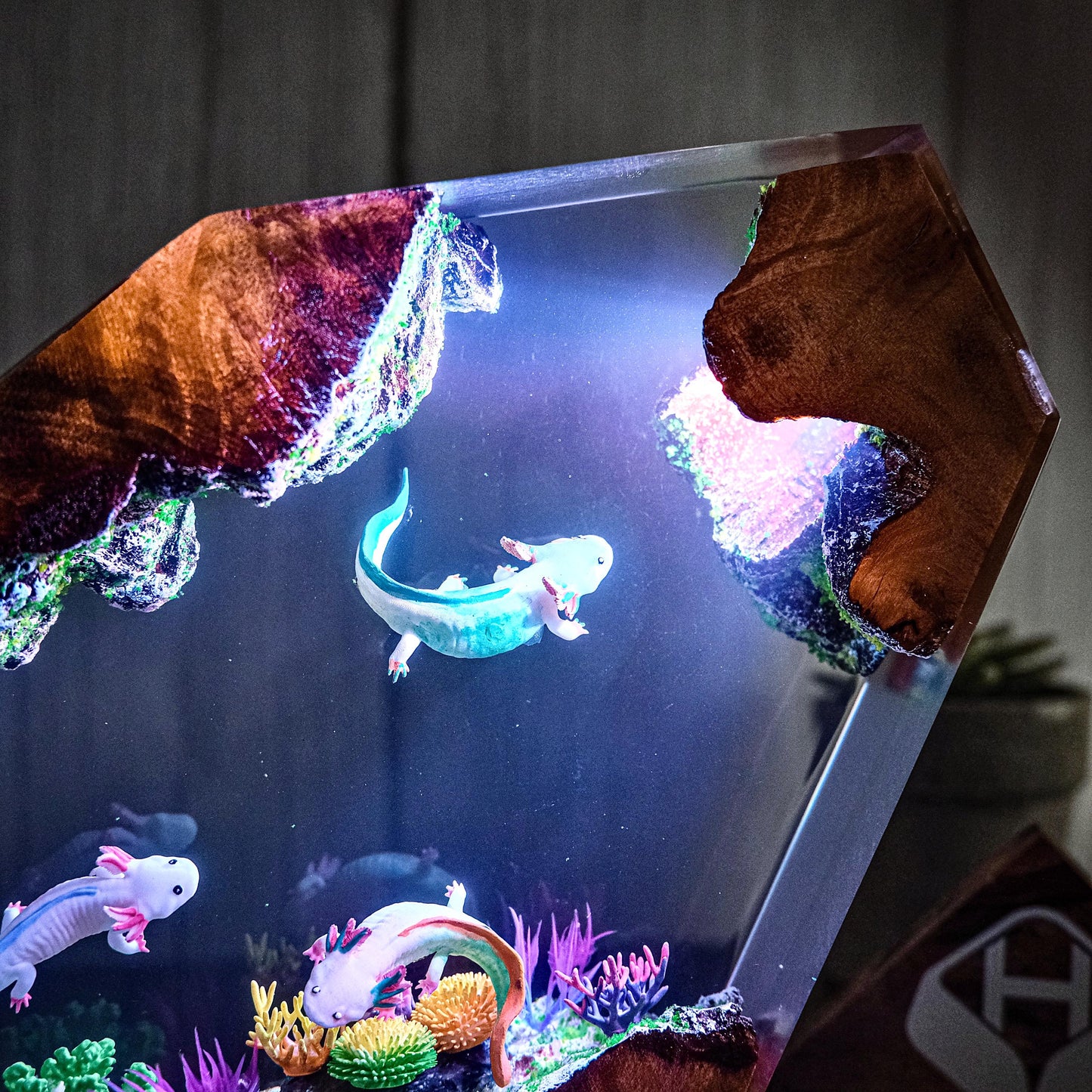Axolotl and Sea Creatures resin