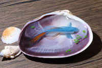 Epoxy resin painting blue koi int a strong shell, resin handcraft