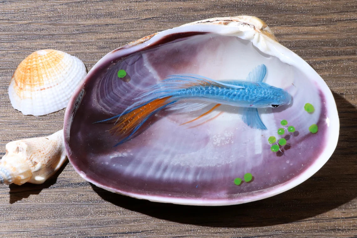 Epoxy resin painting blue koi int a strong shell, resin handcraft