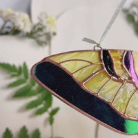 Yellow swallowtail butterfly stained resin window hangings