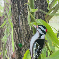 Downy woodpecker stained glass window hangings