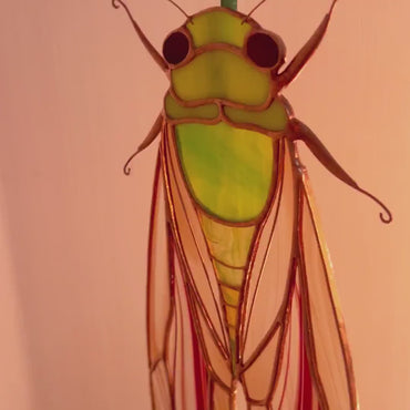Cicada stained resin window hangings