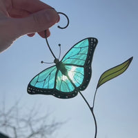 Blue moprho Butterfly stained glass window hangings